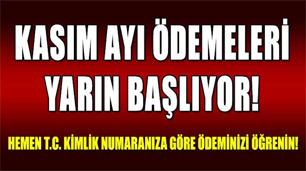 Kasım Ayı Ödemeleri Yarın Başlıyor! Hemen T.C. Kimlik Numaranıza Göre Ödeminizi Öğrenin!