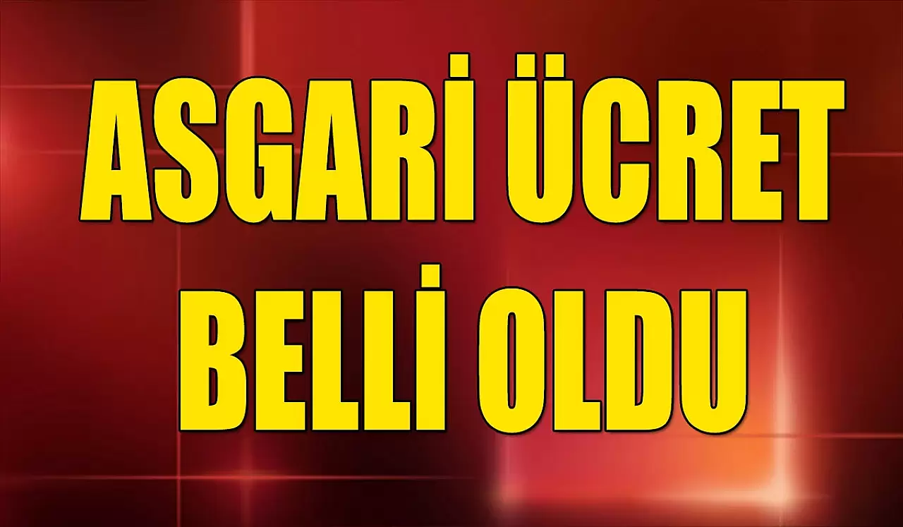 SON DAKİKA! Asgari Ücret Açıklandı! İşte Yeni Asgari Ücret