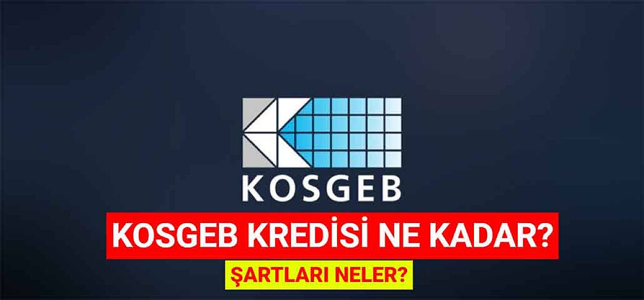 KOSGEB Kredisi Ne Kadar? Şartları Neler?