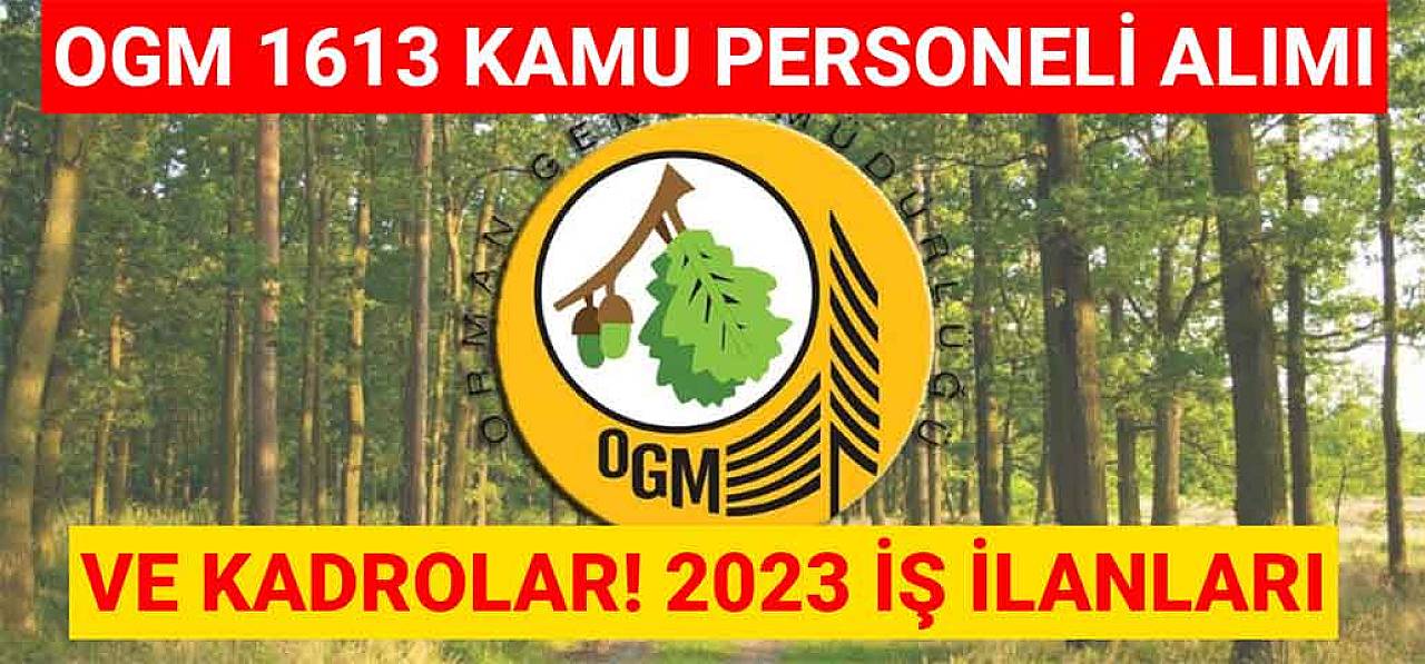 OGM 1613 Kamu Personeli Alımı Ve Kadrolar! 2023 İş İlanları