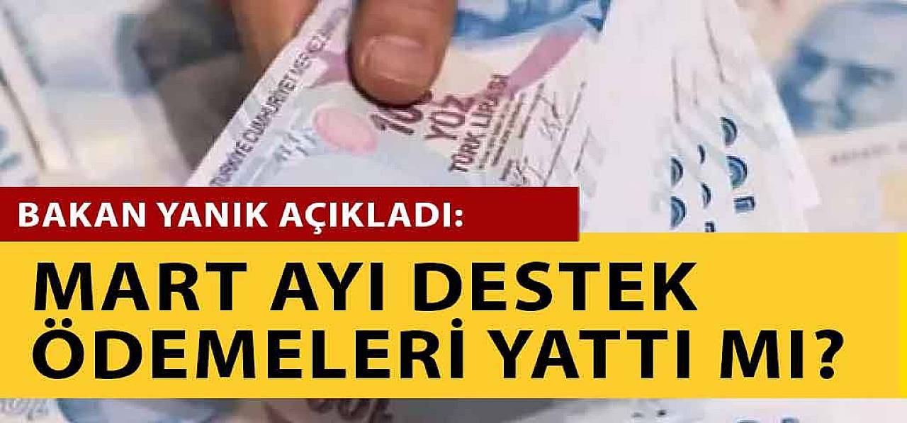 Bakan Derya Yanık Açılama Yaptı Mart Ayı Aile Destek Ödemeleri Yattı Mı?