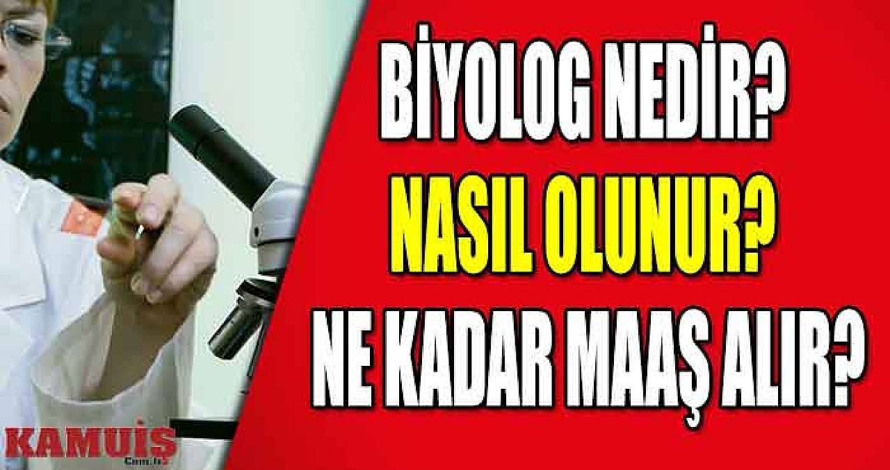 Biyolog Nedir? Nasıl Olunur? Ne Kadar Maaş Alır?