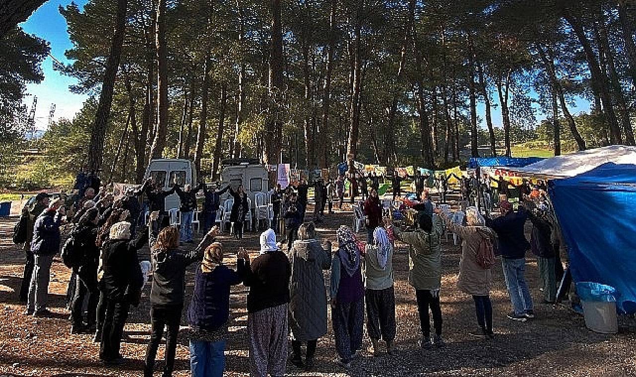 Akbelen Ormanı'nın korunması için sivil toplum kuruluşlarından ortak çağrı!