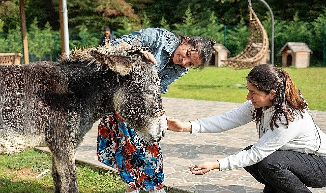 Hepsiburada, 4 Ekim Hayvanları Koruma Günü'nde Can Dostlarımızı Unutmadı