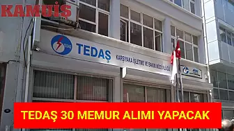 TEDAŞ, 30 Memur Alımı İçin İlan Verdi