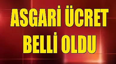 SON DAKİKA! Asgari Ücret Açıklandı! İşte Yeni Asgari Ücret