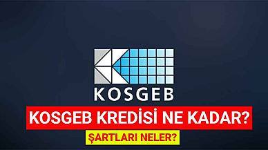 KOSGEB Kredisi Ne Kadar? Şartları Neler?