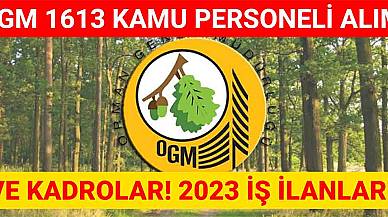 OGM 1613 Kamu Personeli Alımı Ve Kadrolar! 2023 İş İlanları