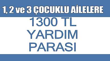 1, 2 Ve 3 Çocuklu Ailelere 1300 TL Yardım Parası Almak İçin E Devlet Başvuru Ekranları Açıldı!