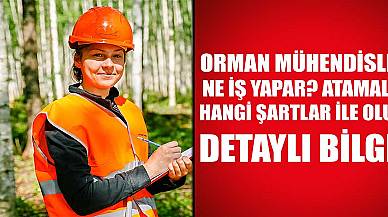 Orman Mühendisliği Nedir? Atamalarda Neler Gereklidir? Tüm Detaylar