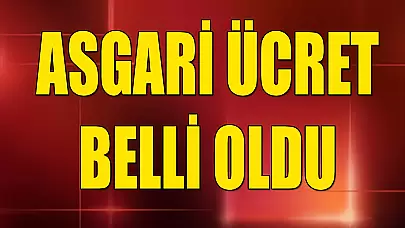 SON DAKİKA! Asgari Ücret Açıklandı! İşte Yeni Asgari Ücret