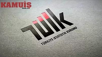 TÜİK'ten 55 Kamu Personeli Alımı: Başvuru Detayları!