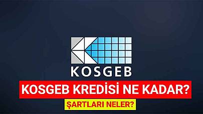 KOSGEB Kredisi Ne Kadar? Şartları Neler?