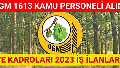 OGM 1613 Kamu Personeli Alımı Ve Kadrolar! 2023 İş İlanları