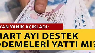 Bakan Derya Yanık Açılama Yaptı Mart Ayı Aile Destek Ödemeleri Yattı Mı?