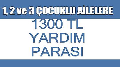 1, 2 Ve 3 Çocuklu Ailelere 1300 TL Yardım Parası Almak İçin E Devlet Başvuru Ekranları Açıldı!