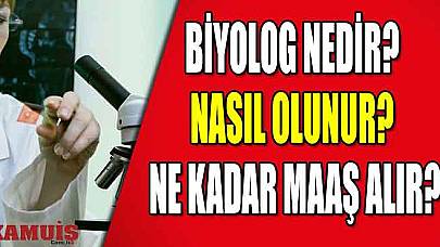 Biyolog Nedir? Nasıl Olunur? Ne Kadar Maaş Alır?