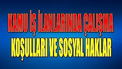 Kamu İş İlanlarında Çalışma Koşulları ve Sosyal Haklar