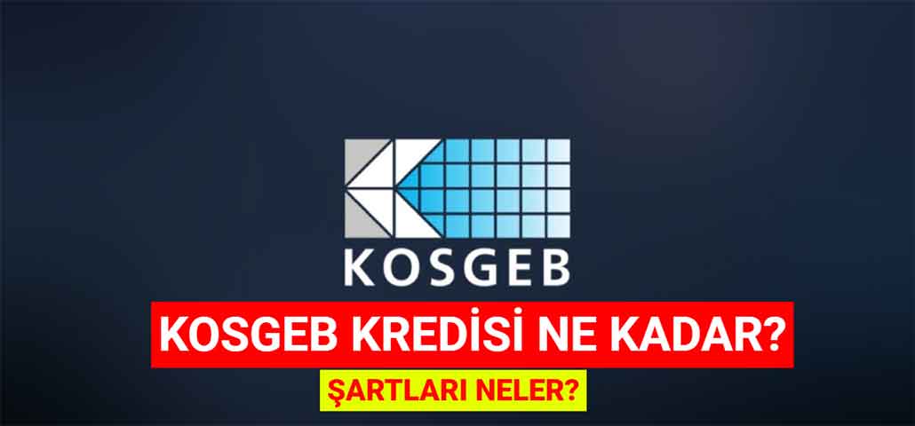 KOSGEB Kredisi Ne Kadar? Şartları Neler?