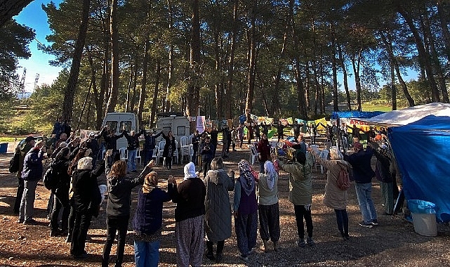 Akbelen Ormanı'nın korunması için sivil toplum kuruluşlarından ortak çağrı!